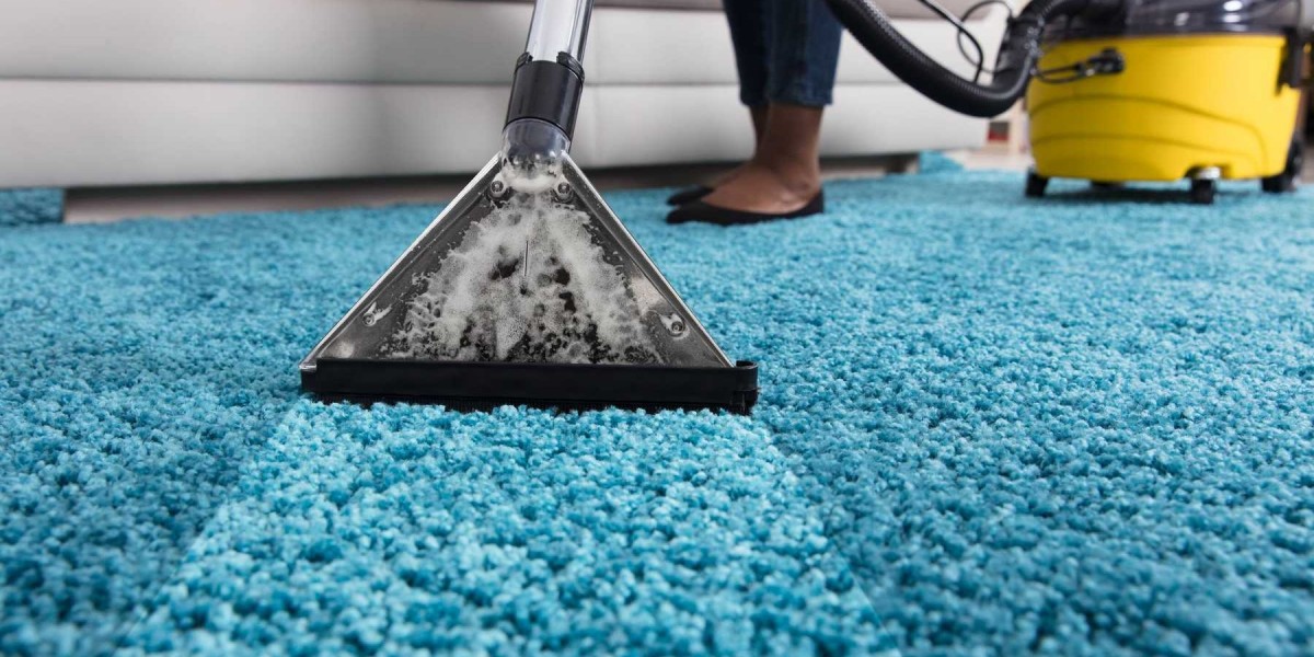  Keep Your Home Allergen-Free with Professional Carpet Cleaning