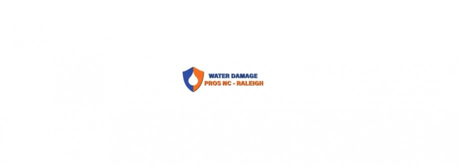 the Water Damage Pros Raleigh nc Cover Image