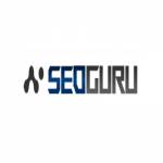 seoguru Profile Picture