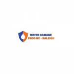 the Water Damage Pros Raleigh nc Profile Picture
