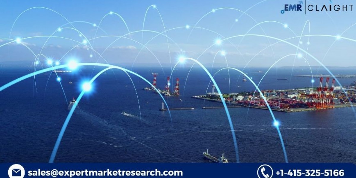 Maritime Information Market Size, Trends, Growth & Forecast 2025–2034