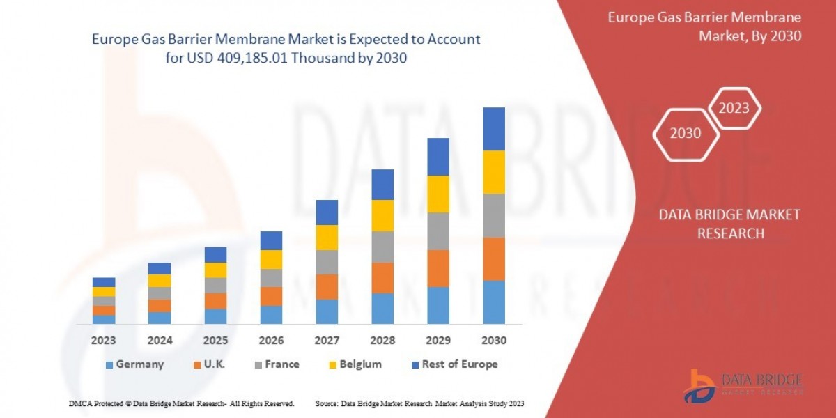 Europe Gas Barrier Membrane Market Leaders: Growth, Share, Value, Size, and Scope