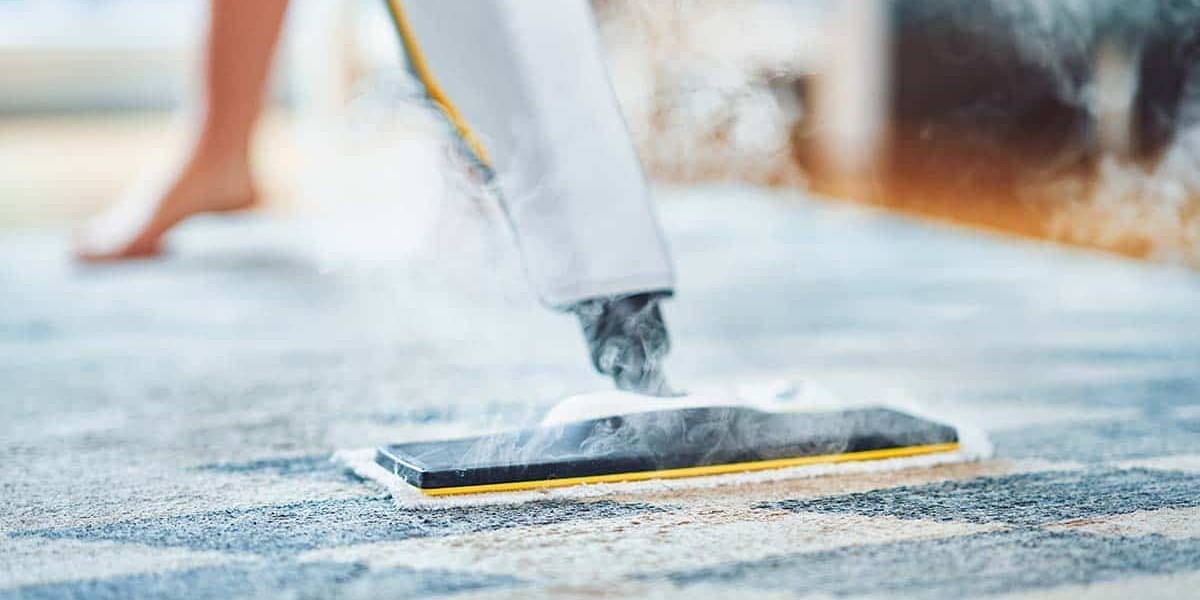 Carpet Cleaning Services That Help Preserve Carpet Color