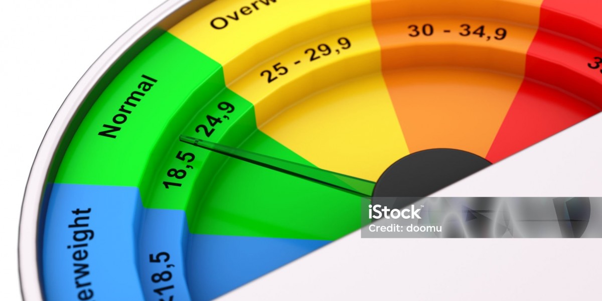 The Role of Digital Tools: How BMI and Income Tax Calculators Simplify Daily Life