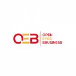 Open Eyes Business SARL Profile Picture