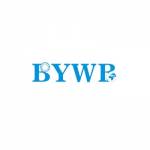 BYWB Bearing Profile Picture