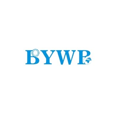 BYWB Bearing Profile Picture