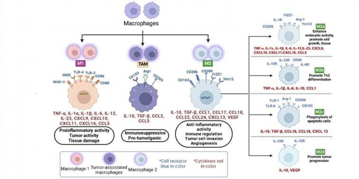 Protheragen Advances Research Solutions for Rare Cancers