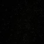 Isabella johnson Profile Picture