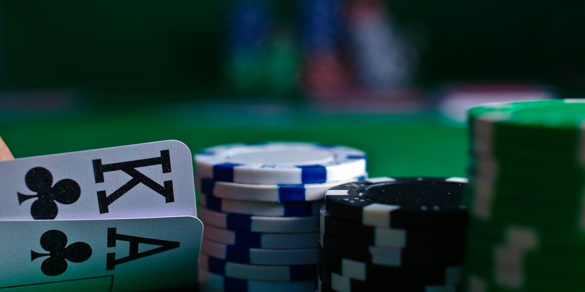 Exploring the Psychology of Online Gambling: What Drives Players to Choose Casinos and Bonuses