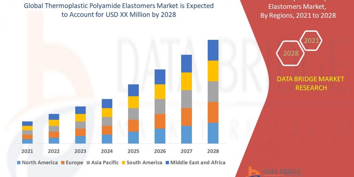 Thermoplastic Polyamide Elastomers Market Trends: Growth, Share, Value, Size, and Analysis