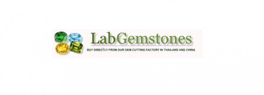 Ilyas Lapidary Cover Image