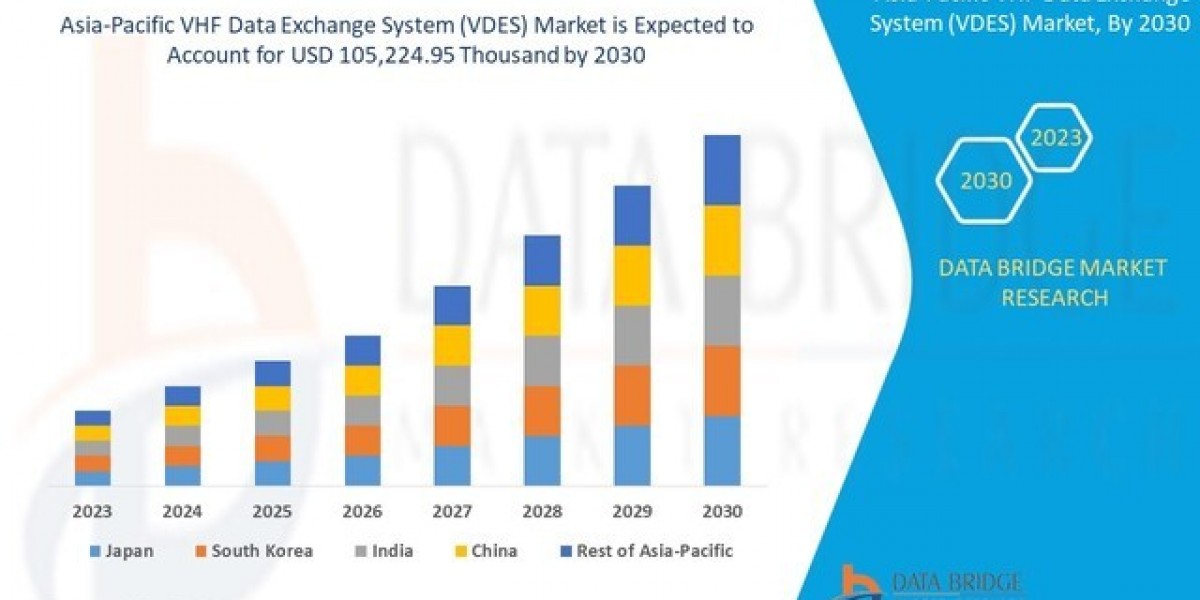 Asia-Pacific VHF Data Exchange System (VDES) Market Demand: Growth, Share, Value, Size, and Insights