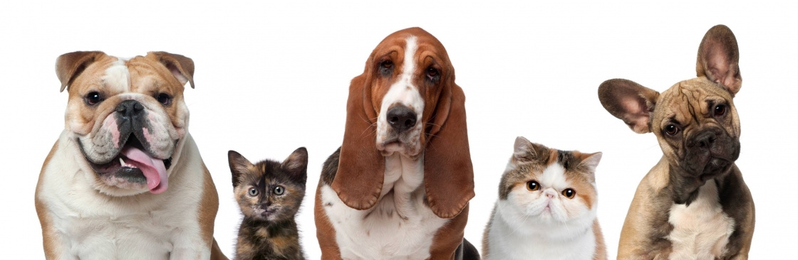 Atlas Pet Hospital Cover Image