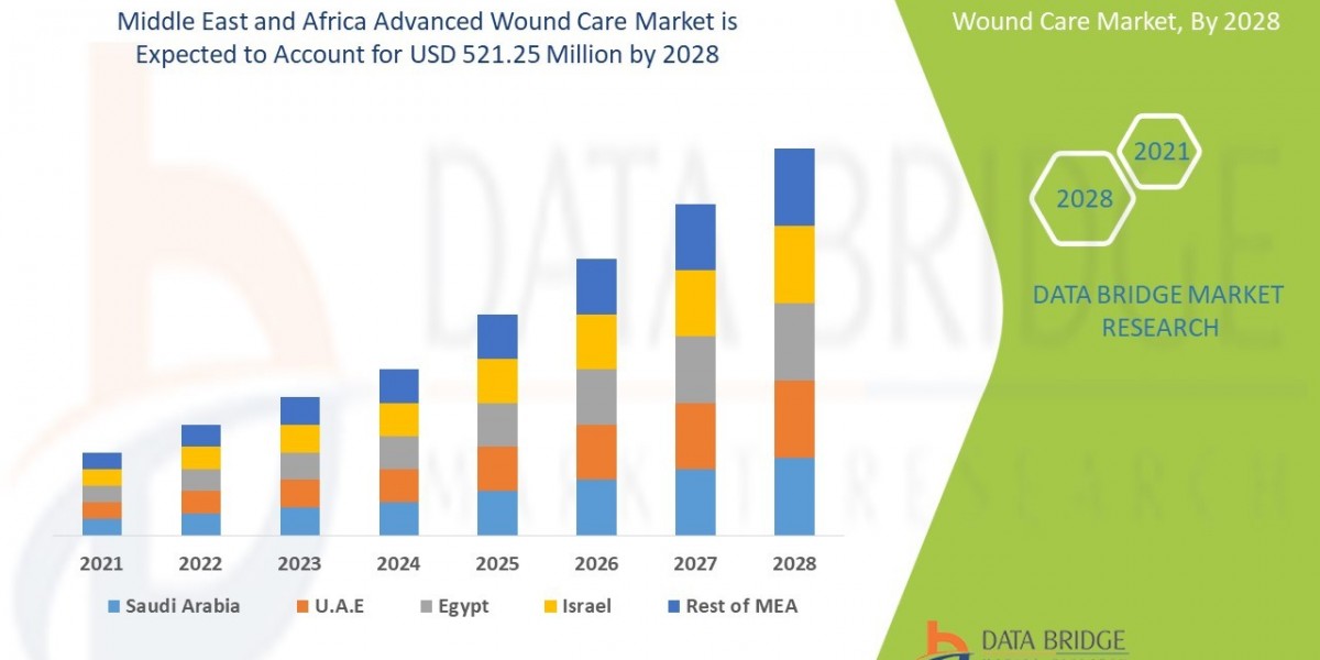 Middle East and Africa Advanced Wound Care Market Overview, Growth Analysis, Trends and Forecast By 2028