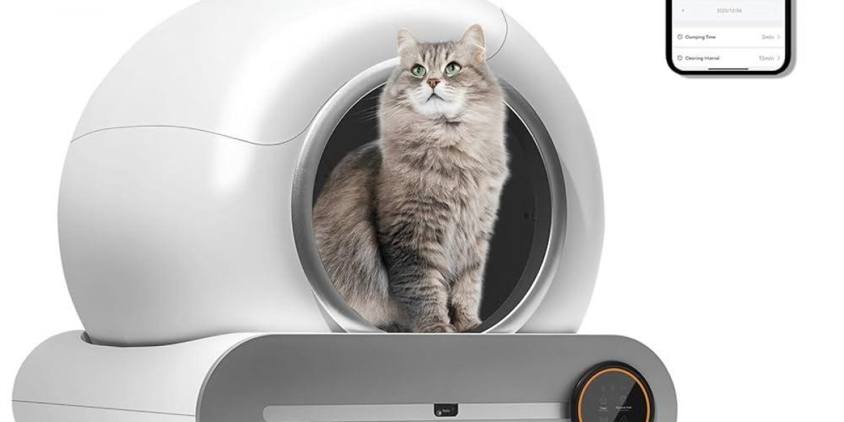 Is Pawtechpet's Automatic Cat Litter Box the Best Solution for You?
