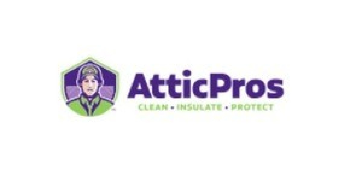 Bay Area Rodent Control: Protecting Your Home and Family