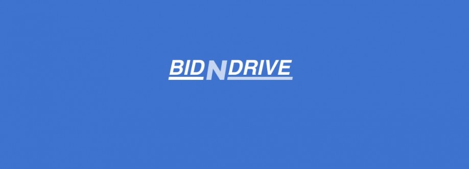 Bidndrive Cover Image