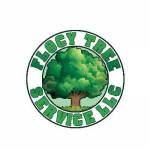 flocy tree services Profile Picture