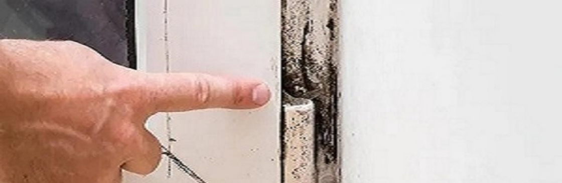 Mould Doctors Cover Image