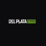 Del Plata Seeds Profile Picture