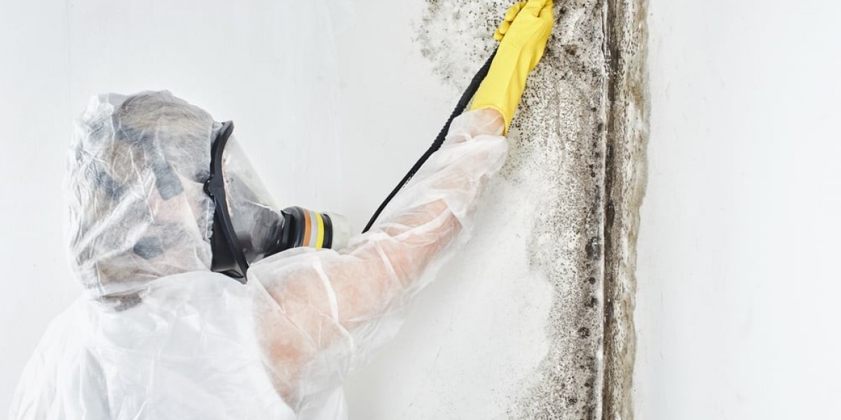 Mold Remediation Woodinville, WA