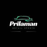Prilaman Detail, Ceramic Coating , Paint Correction xperts LLC Profile Picture