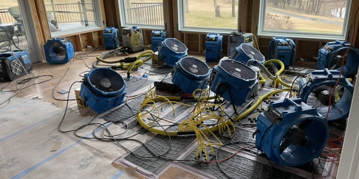 Water Restoration Near Me