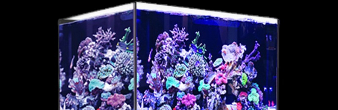 Candy Corals Cover Image