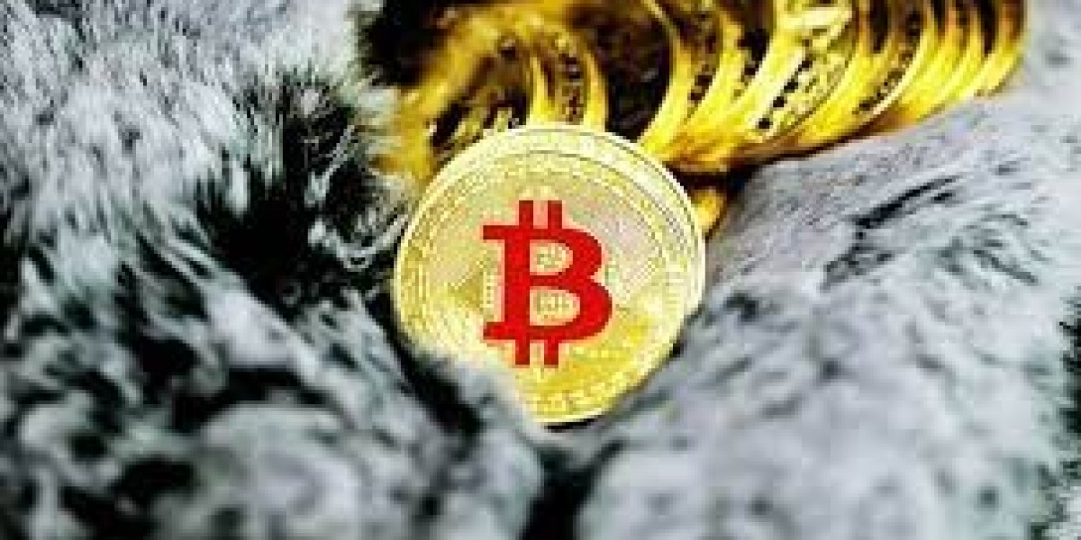 Article Picture