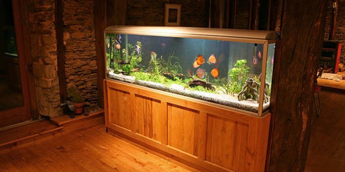 How the Ornamental Fish Market Fuels the Aquarium Industry