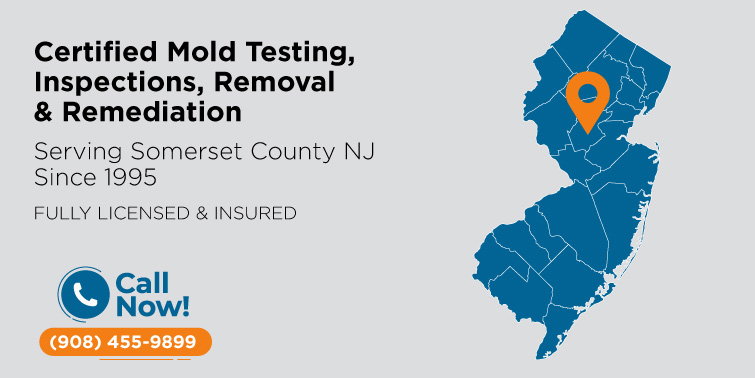 Mold Removal & Remediation Somerset County, NJ | Mold Inspection & Testing