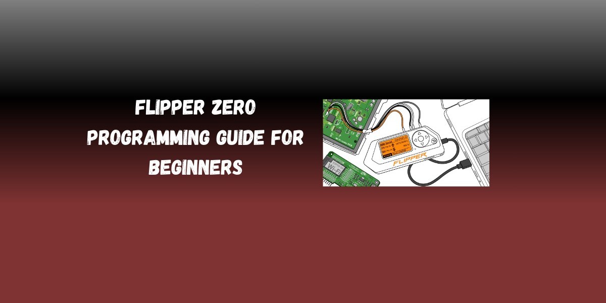 Flipper Zero Programming Guide for Beginners