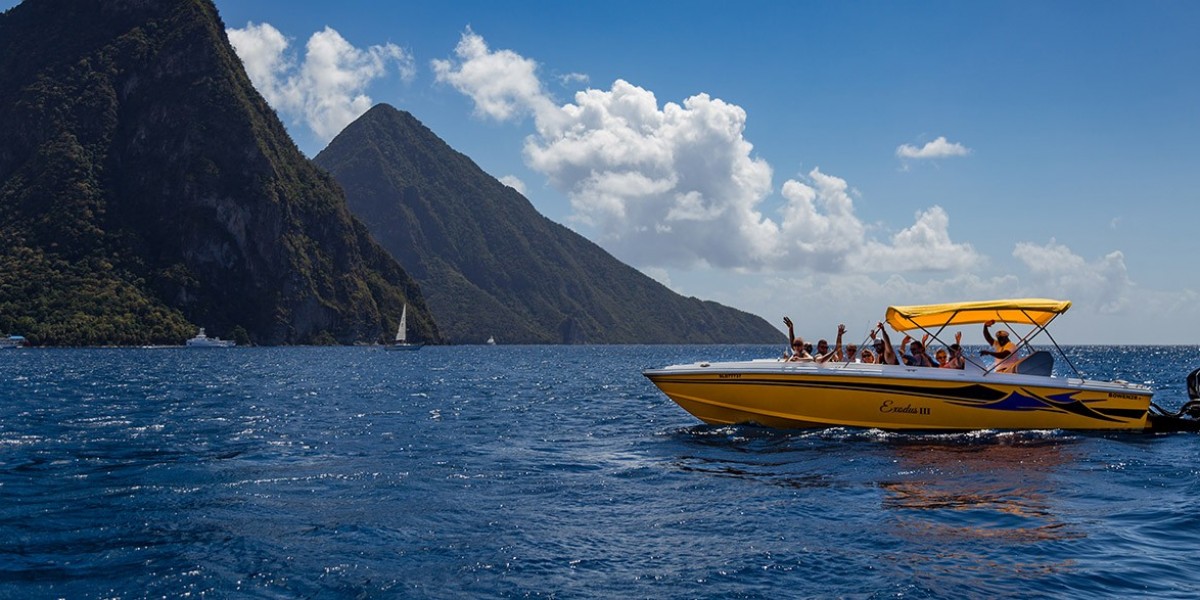 Exciting Whale Watching in St. Lucia – Witness Nature’s Giants