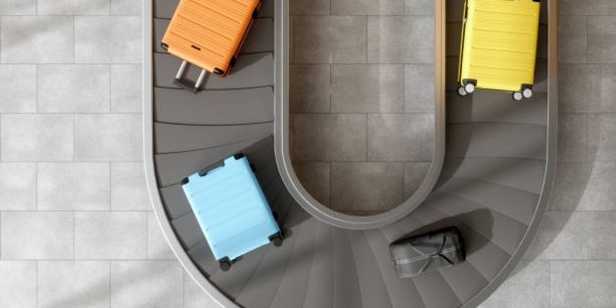 How Luxury Travelers Influence the Global Luggage Market
