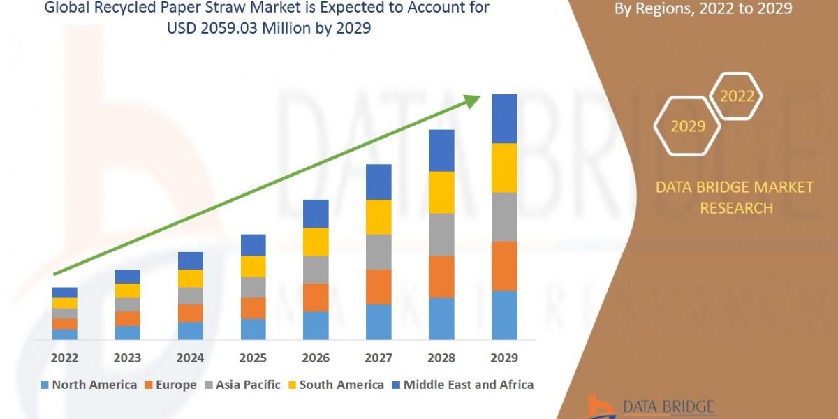 Recycled Paper Straw Market Overview: Key Drivers and Challenges