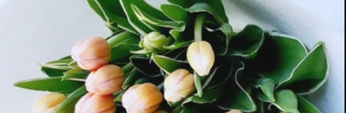 blossomby daisy Cover Image