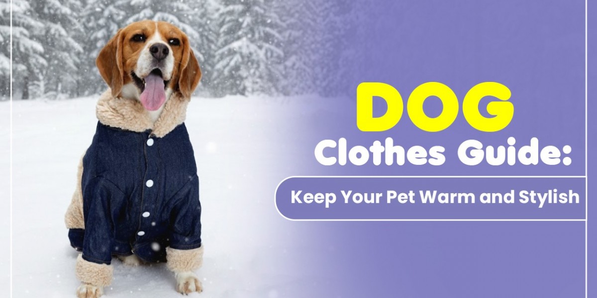 Dog Clothes Guide: Keep Your Pet Warm and Stylish