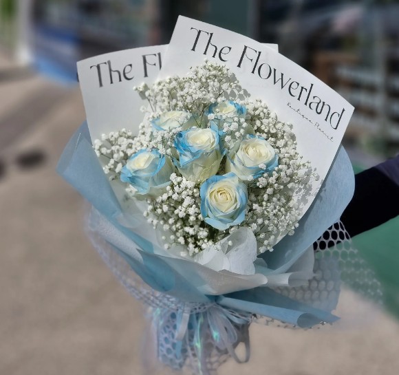 theflower land Profile Picture