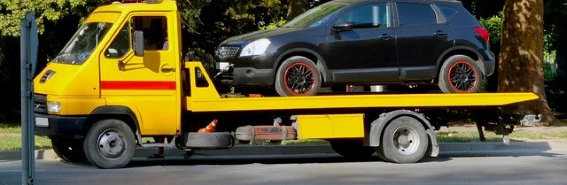 Malden Matowing Cover Image