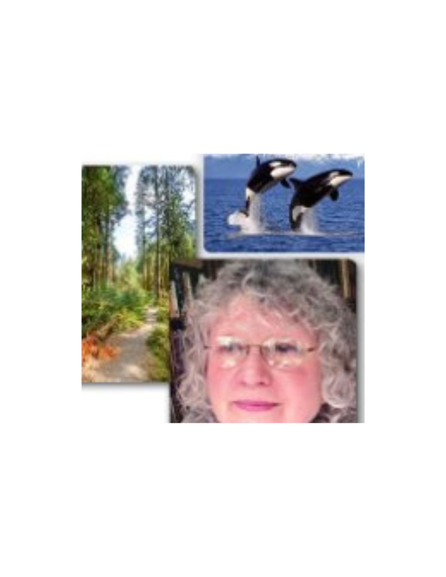 Sharono Connell Profile Picture