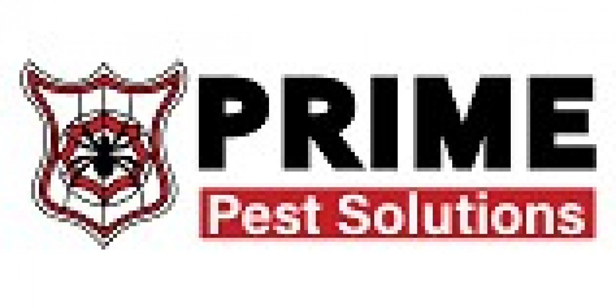 Effective Ant Pest Control Melbourne by Prime Pest Solutions