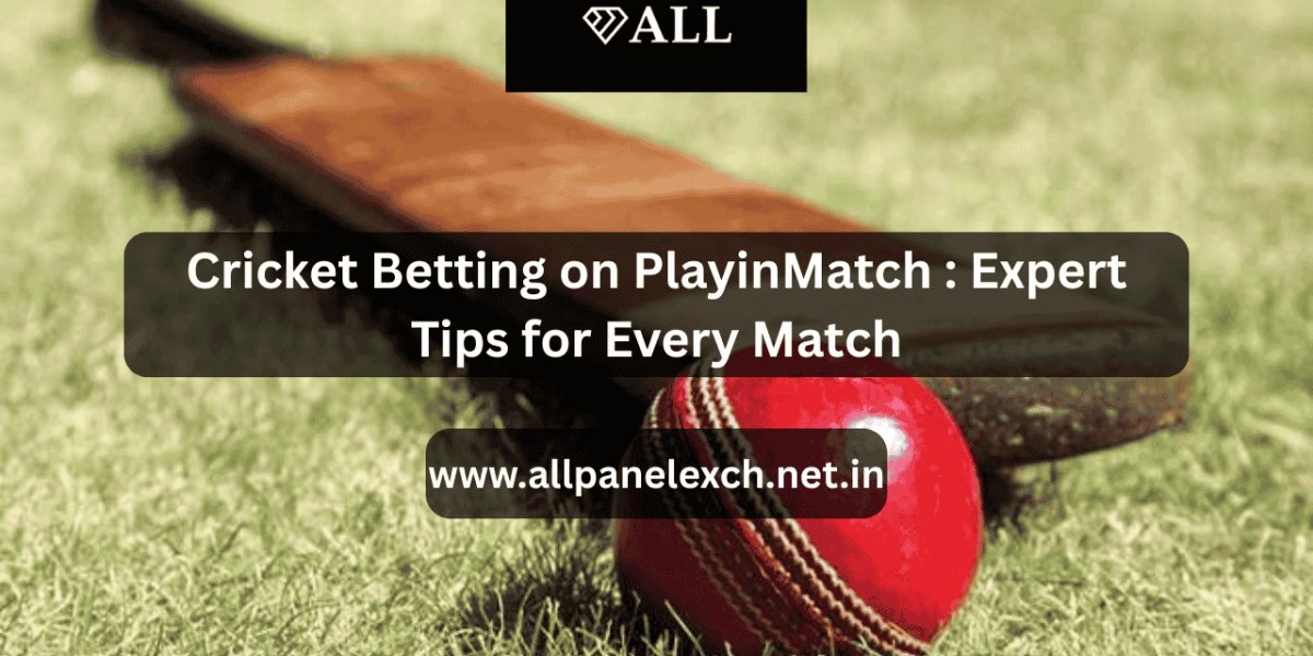 Cricket Betting on AllPanelExch: Expert Tips for Every Match