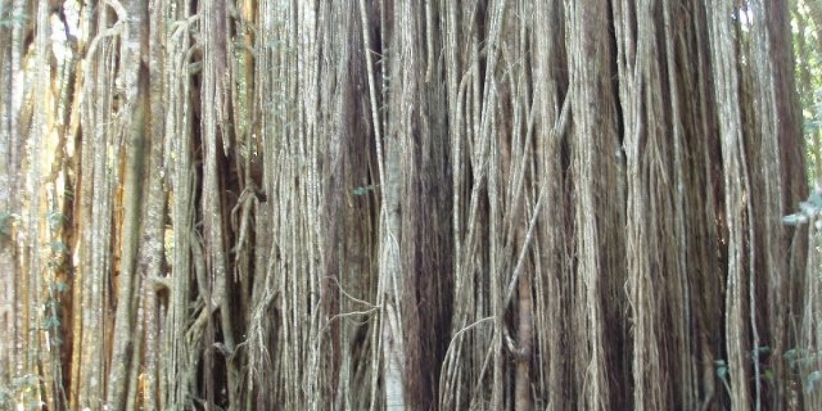 Top Online Casino Games for Real Money in 2025