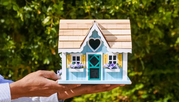 jonson jonson Profile Picture