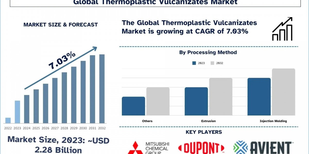 Thermoplastic Vulcanizates Market Report, Segments, Share, Trends & Forecast 2032