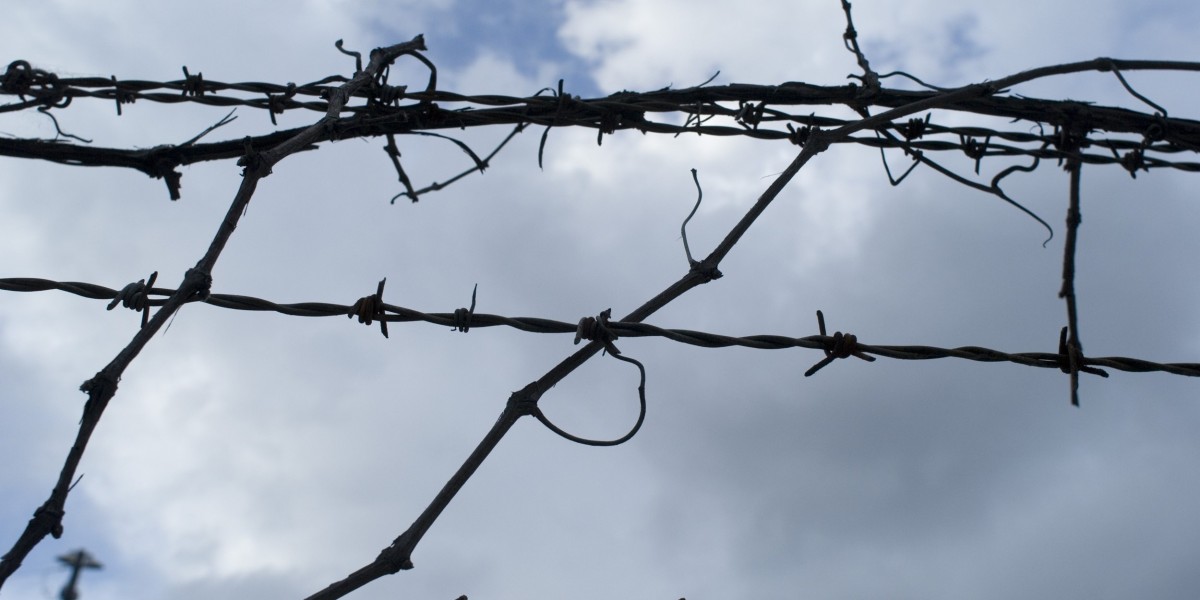 SGR Star Entertainment has a stalker rather than a saviour