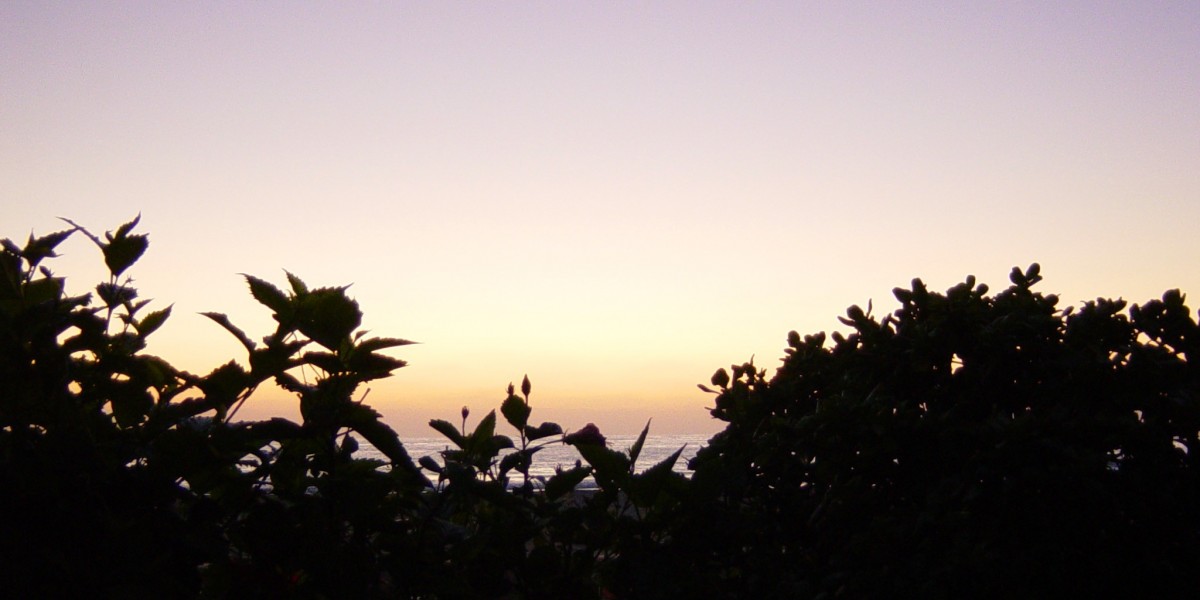 Best Online Casinos Australia for Real Money Play with AUD