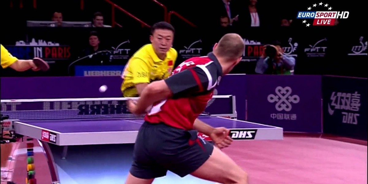 Best Table Tennis Player Of All Time – Legends & Greats