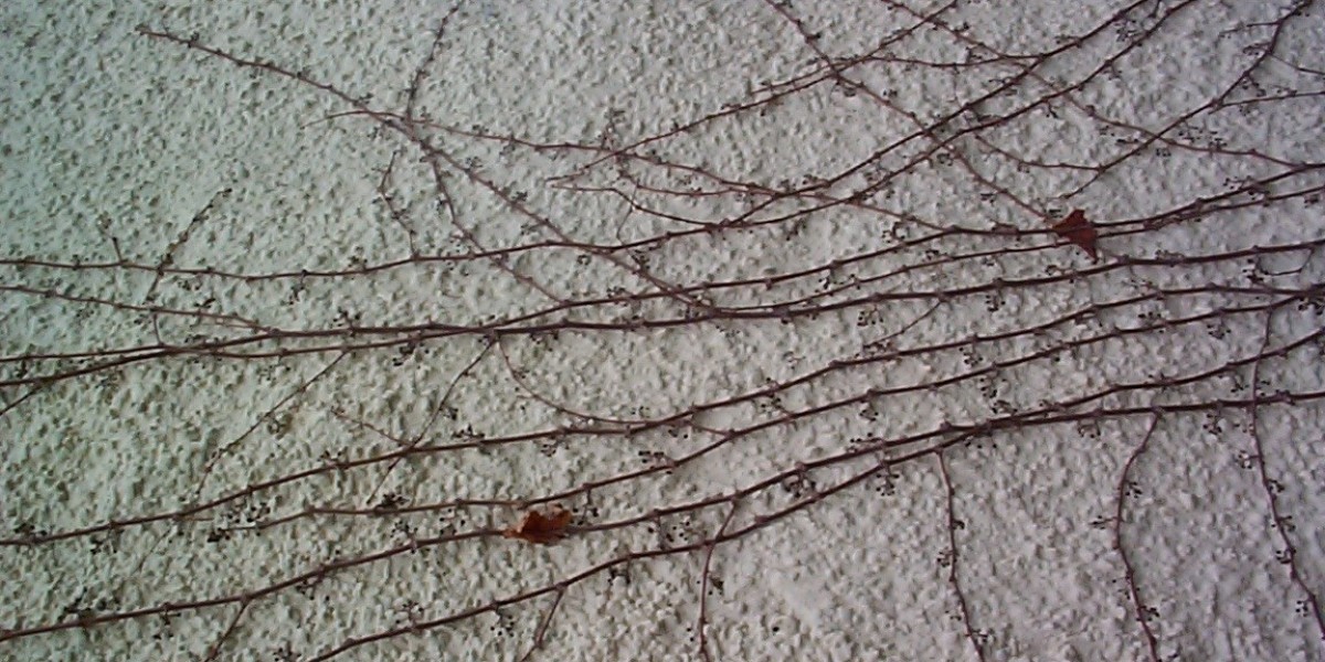 Exciting Online Gaming, Bonuses, and Mobile Access